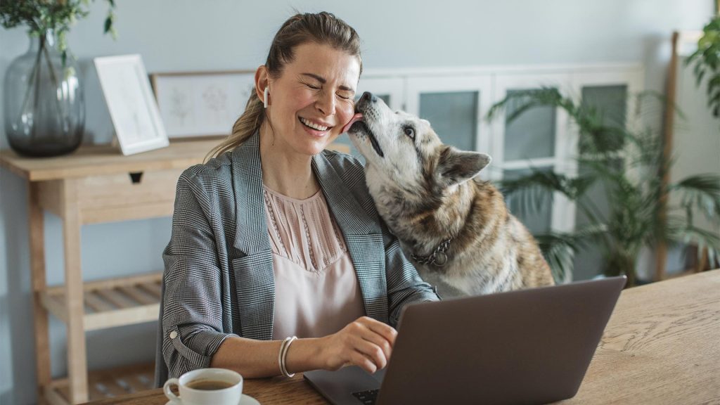 cute dog licking dog mom on laptop